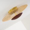 SUNRISE ceiling light LED gold, rust-coloured, 1-light source