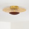 SUNRISE ceiling light LED gold, rust-coloured, 1-light source