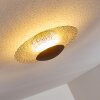 SUNRISE ceiling light LED gold, rust-coloured, 1-light source