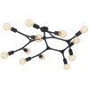 EGLO BOCADELLA Ceiling Light black, 12-light sources