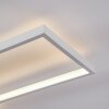 Hagenberg Ceiling Light LED white, 1-light source