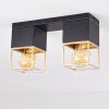 AGAWAM Ceiling Light black, 2-light sources