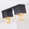 AGAWAM Ceiling Light black, 2-light sources