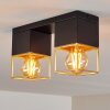 AGAWAM Ceiling Light black, 2-light sources