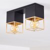 AGAWAM Ceiling Light black, 2-light sources