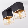 AGAWAM Ceiling Light black, 2-light sources