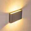 Outdoor Wall Light Tinglev LED grey, 2-light sources