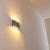 Outdoor Wall Light Tinglev LED grey, 2-light sources