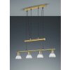 Trio LEVISTO hanging light LED brass, 4-light sources