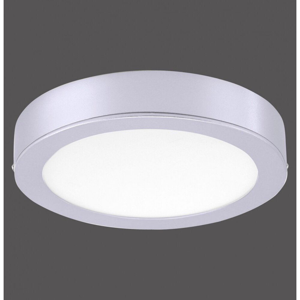 Leuchten-Direkt OSKAR ceiling light LED silver, 1-light source