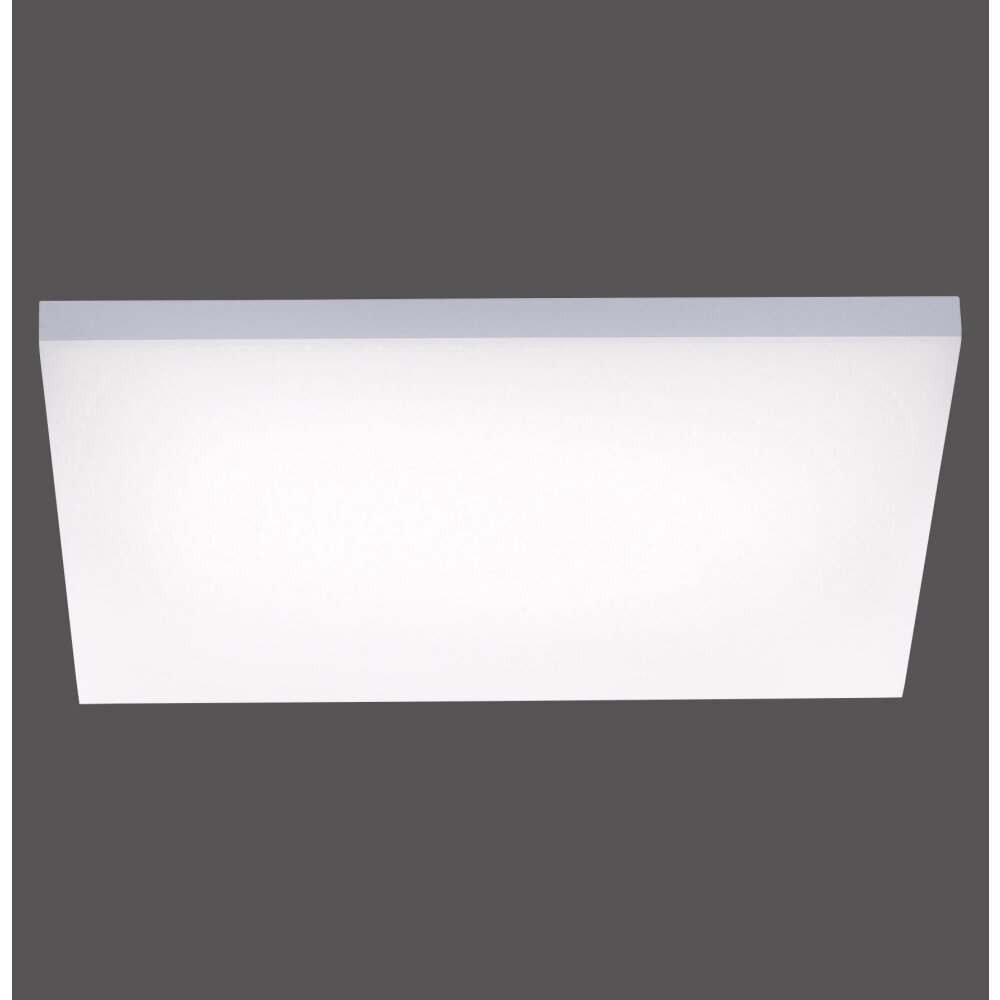 Ceiling Light Paul Neuhaus FRAMELESS LED white, 1-light source, Remote control