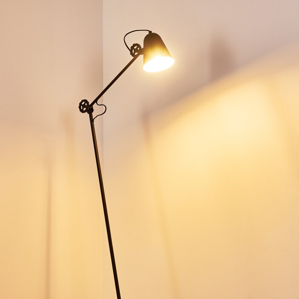 Pany Floor Lamp black, 1-light source