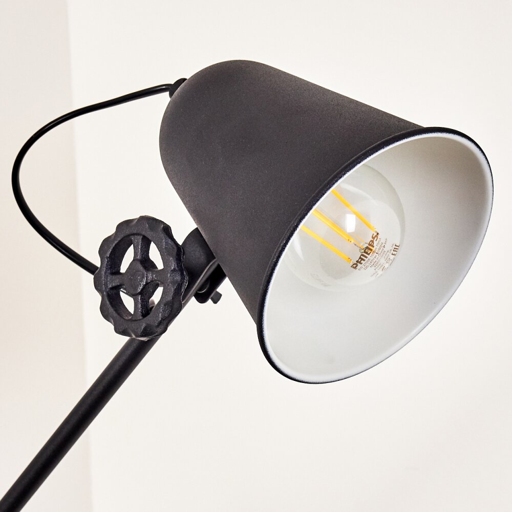 Pany Floor Lamp black, 1-light source