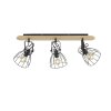 Ceiling Light Fischer & Honsel living Die black, 3-light sources