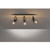 Ceiling Light Fischer & Honsel living Die black, 3-light sources