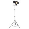 Floor Lamp Globo EGON black, 1-light source