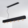 Fria Pendant Light black, 6-light sources