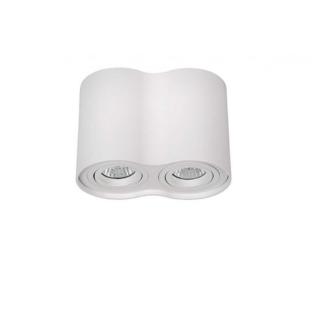 Lucide TUBE ceiling spotlight white, 2-light sources