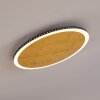 AITRACH Ceiling Light LED gold, 1-light source