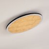 AITRACH Ceiling Light LED gold, 1-light source