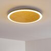 AITRACH Ceiling Light LED gold, 1-light source