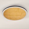 AITRACH Ceiling Light LED gold, 1-light source