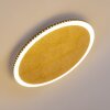 AITRACH Ceiling Light LED gold, 1-light source