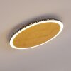 AITRACH Ceiling Light LED gold, 1-light source