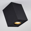 Baishan Ceiling Light black, 1-light source