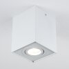 Baishan Ceiling Light white, 1-light source