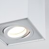 Baishan Ceiling Light white, 1-light source