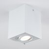 Baishan Ceiling Light white, 1-light source