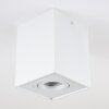 Baishan Ceiling Light white, 1-light source