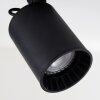 Kullaberg Ceiling Light black, 2-light sources