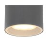 Outdoor Ceiling light Globo ALCALA anthracite, 1-light source