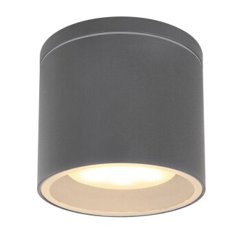 Outdoor Ceiling light Globo ALCALA anthracite, 1-light source