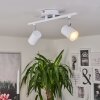 Chennai Ceiling Light LED chrome, white, 2-light sources