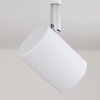 Chennai Ceiling Light LED chrome, white, 2-light sources