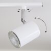 Chennai Ceiling Light LED chrome, white, 2-light sources