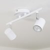 Chennai Ceiling Light LED chrome, white, 2-light sources