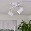 Chennai Ceiling Light LED chrome, white, 2-light sources