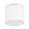 Outdoor Ceiling light Globo ALCALA white, 1-light source