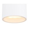 Outdoor Ceiling light Globo ALCALA white, 1-light source