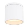 Outdoor Ceiling light Globo ALCALA white, 1-light source