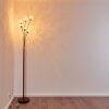 KITEE floor lamp brown, 6-light sources