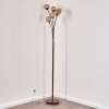 KITEE floor lamp brown, 6-light sources