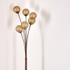 KITEE floor lamp brown, 6-light sources