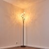 KITEE floor lamp brown, 6-light sources