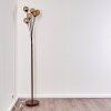 KITEE floor lamp brown, 6-light sources