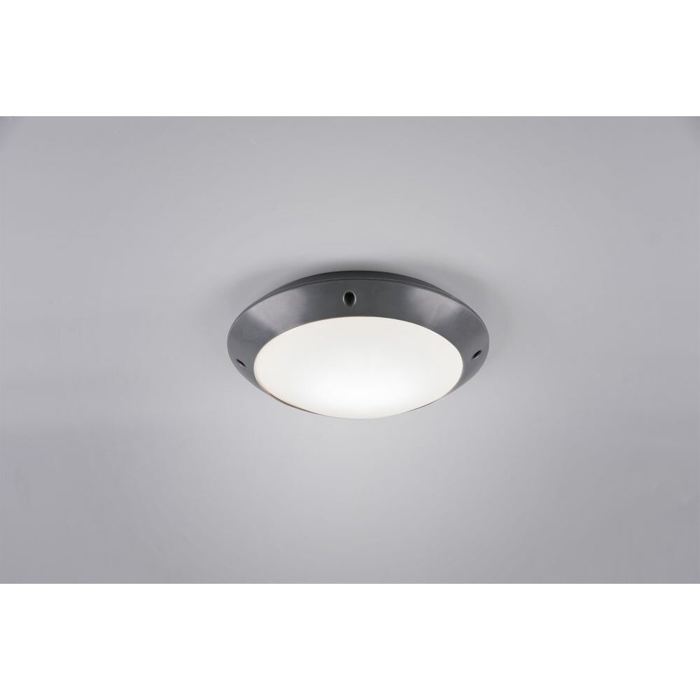 Reality CAMARO Outdoor Ceiling Light anthracite, 1-light source